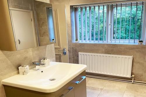 uma casa de banho com um lavatório, um espelho e uma janela em Countryside Apartment nr. Dore Train station em Sheffield