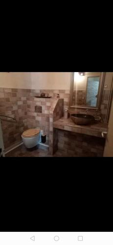 une salle de bain avec un lavabo et des toilettes dans l'établissement Nid douillet, à Genilac