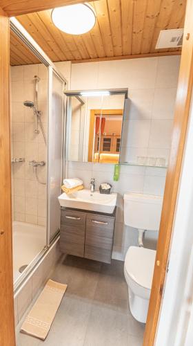Koupelna v ubytování Hotel Gasthof Gribelehof