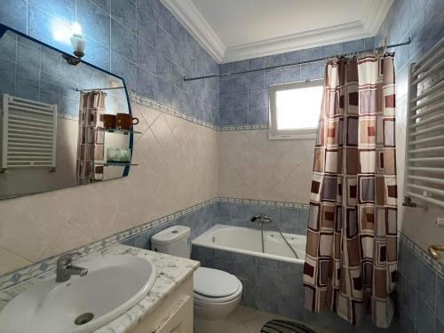 a bathroom with a sink and a toilet and a tub at fatimides appartement in La Marsa