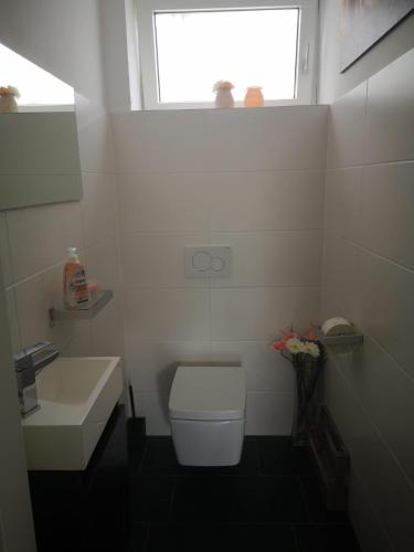 Elle comprend une petite salle de bains pourvue de toilettes et d'une fenêtre. dans l'établissement Penthouse in den Bergen, à Imst