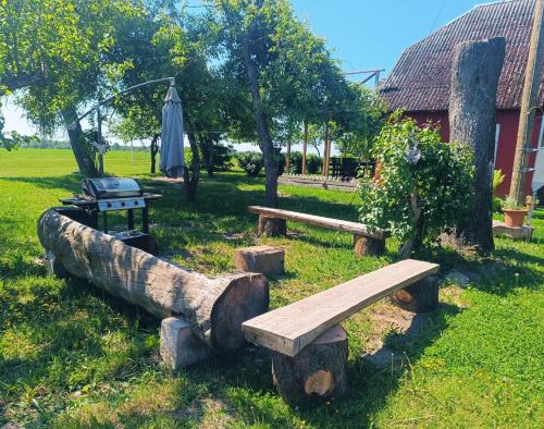 park z ławkami, parasolem i drzewami w obiekcie Kuberi guesthouse w mieście Pedja