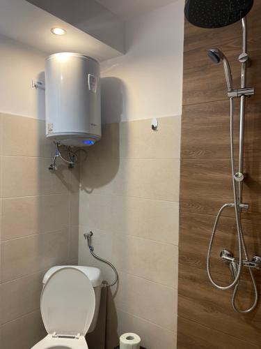 a bathroom with a shower with a toilet and a shower head at Garsoniera Luca in Drobeta-Turnu Severin