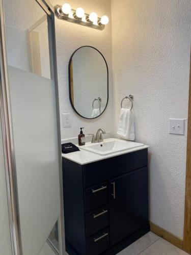 een badkamer met een wastafel en een spiegel bij Bixby Cove Cabin #2 in Porum