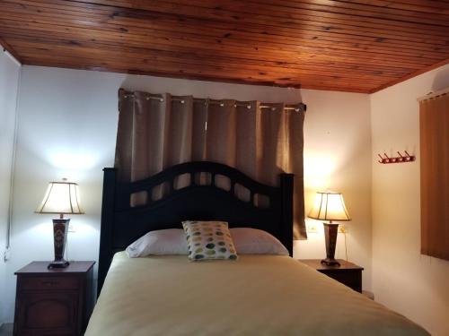 Hotel Estancia del Bosque Forest Guest House في Siguatepeque: غرفة نوم بسرير كبير فيها مصباحين