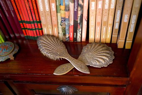 two fish statues on a book shelf with books at Archontiko Alexandros Luxury Suites in Kardiá