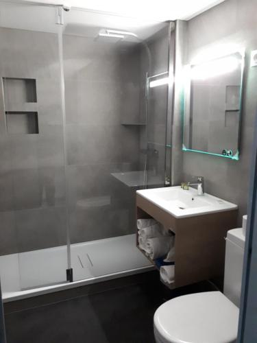 ein Bad mit einer Dusche, einem Waschbecken und einem WC in der Unterkunft Le Saint Sébastien in Blendecques