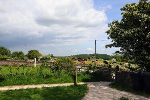 a herd of cows in a field behind a fence at Saints' Meadow in Crich