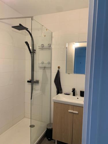 La salle de bains est pourvue d'une douche, d'un lavabo et de toilettes. dans l'établissement Lokitas, à Marseille