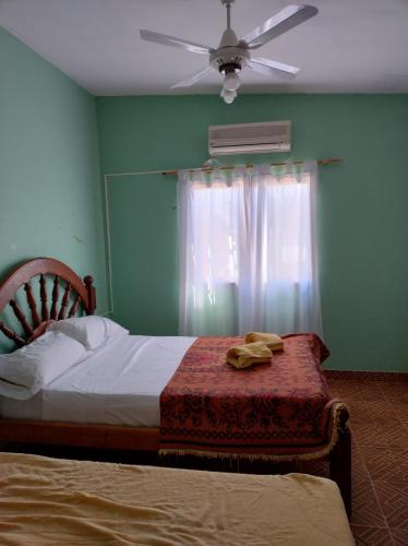 a bedroom with a bed with a ceiling fan and a window at yusulpayki in Termas de Río Hondo
