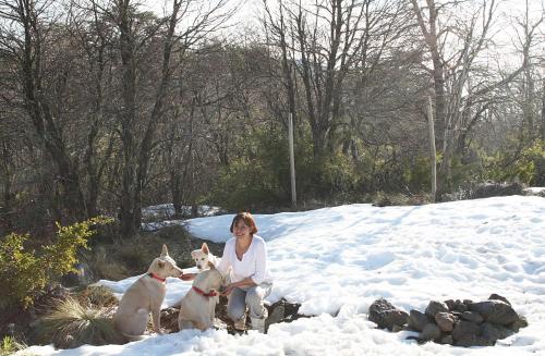 ラス・トランカスにあるDon Guillermo Cabinsの雪の中三匹の犬を連れて姿を見せる女