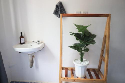 a bathroom with a sink and a mirror and a plant at Roma Airbnb 
