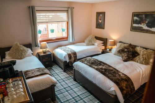 a room with two beds and a window at Eriskay B&B and Aviemore Glamping in Aviemore