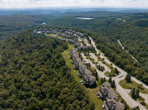 an aerial view of a road in the middle of a forest at Seven Springs 2BRLoft Premium Condo, sleeps 11! condo in Champion