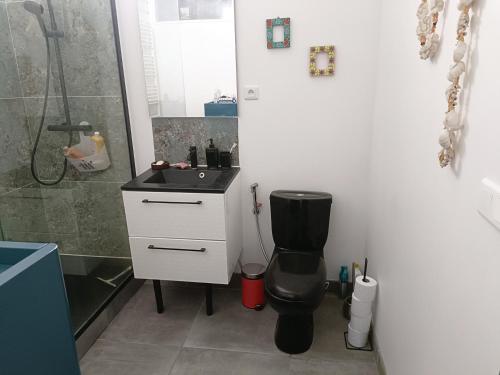 une salle de bain avec un lavabo, des toilettes et une douche dans l'établissement Pause nature au cœur du parc naturel du Médoc, à Moulis-en-Médoc
