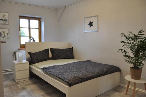 ein Schlafzimmer mit einem Bett und einer Pflanze darin in der Unterkunft Ferien/Monteurwohnung Volling in Lengede