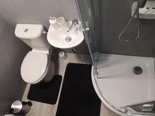 een badkamer met een toilet, een wastafel en een spiegel bij Relax v Jizerkách in Nové Město pod Smrkem