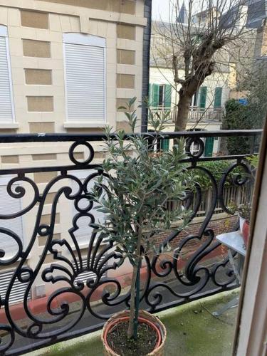 une plante dans un pot assise sur une clôture de fer dans l'établissement Maison Serpolette - maison entiere, à Trouville-sur-Mer