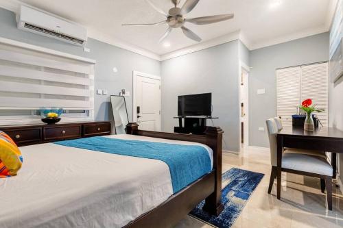 - une chambre avec un lit, un bureau et une télévision dans l'établissement serendipity on the beach Ocho Rios, à Saint Annʼs Bay