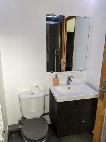 une salle de bain avec toilettes, lavabo et miroir dans l'établissement Retraite Tropicale à Marseille, à Marseille