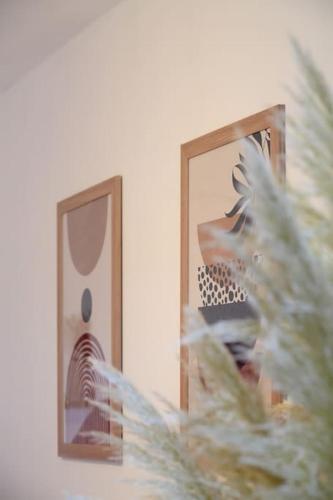 a mirror with two pictures and a plant in front of it at Calais Plage-Gare Appartement élégant tout équipé in Calais