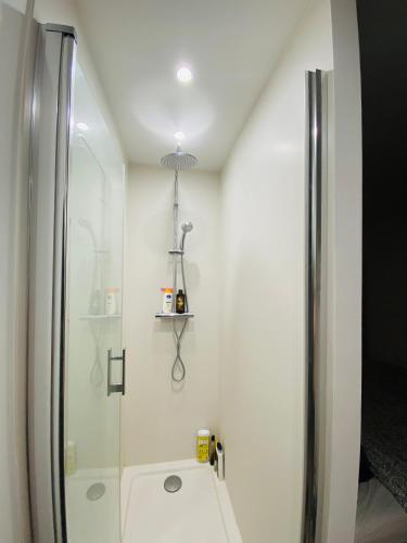 une salle de bain avec une douche avec une porte vitrée dans l'établissement Le Repos Montchatois - Appartement moderne, à Lyon