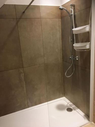 une douche avec une porte vitrée dans une salle de bain dans l'établissement Gite le long bois campagne charme 6 pers, à Nécy