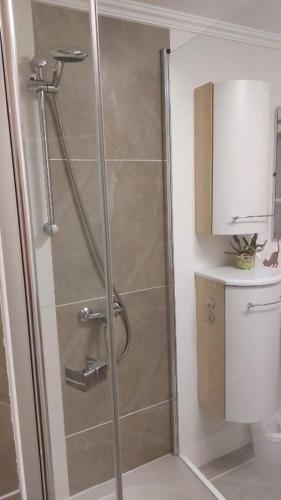 a shower with a glass door in a bathroom at Ferienwohnung Eleni in Mauth