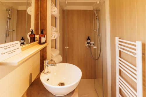 La salle de bains est pourvue d'un lavabo blanc et d'une douche. dans l'établissement Les Gîtes du Bioparc, 