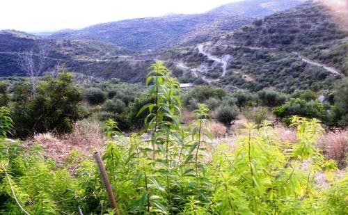 a view of a valley from a mountain at Menina Farm Kalamata Countryside in Perivolákia