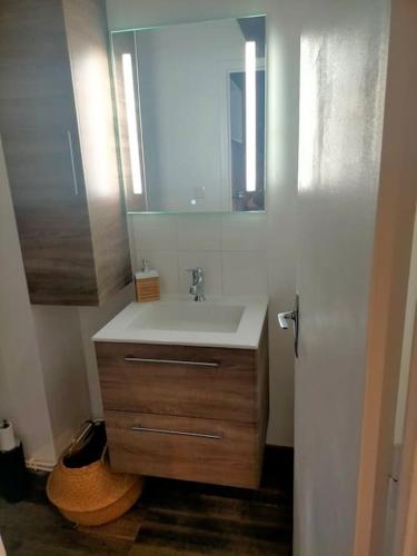 une salle de bain avec un lavabo et un miroir dans l'établissement location studio vacances ou weekend Pra Loup résidence La Croix Haute, à Uvernet