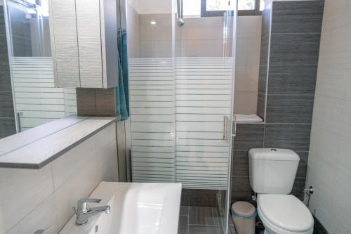a bathroom with a toilet and a sink and a shower at Filoxenia House at Anemochori village in Pýrgos