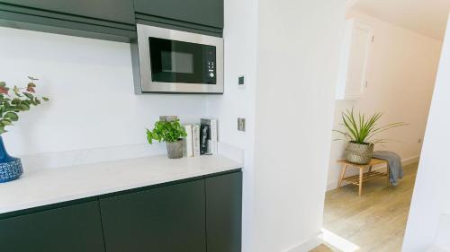 a kitchen with green cabinets and a tv on the wall at Hebog in Llanrhwydrys