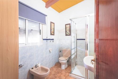 a bathroom with a toilet and a sink and a shower at Casa Rural Los Naranjo in Jerez de los Caballeros