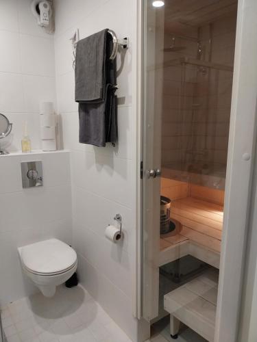 a white bathroom with a toilet and a shower at Villa Helena in Lahti