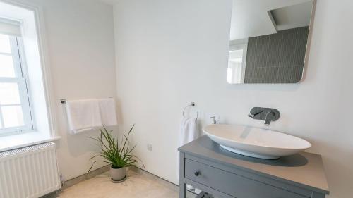 a bathroom with a white sink and a mirror at Hen Cymyran in Caeʼr-geiliog