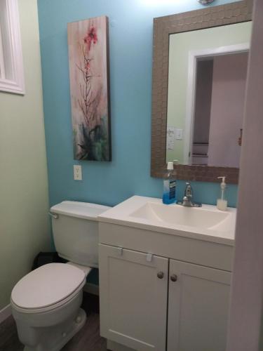 a bathroom with a toilet and a sink and a mirror at Sunshine Bayridge in Kingston