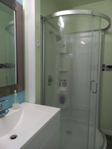 W łazience znajduje się szklana kabina prysznicowa i umywalka. w obiekcie Sunshine Bayridge w mieście Kingston