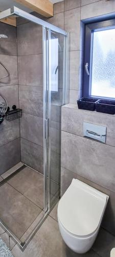 a bathroom with a toilet and a glass shower at Domek letniskowy Wigsun in Leszczewek