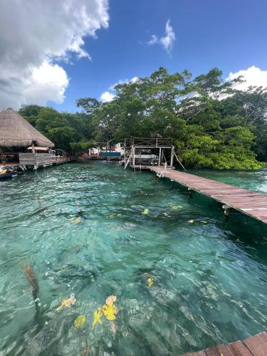 a body of water with a pier and trees at Hotel Casa Del Angel in Chetumal