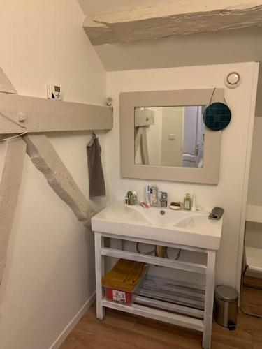 une salle de bain avec un lavabo et un miroir dans l'établissement Maison de famille au vert classée 3 étoiles, aux Andelys