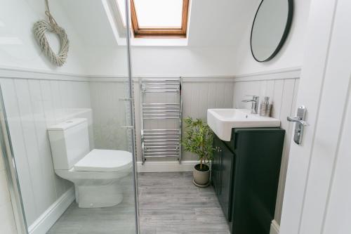 a bathroom with a toilet and a sink and a mirror at 45 Bryn Lane in Beaumaris