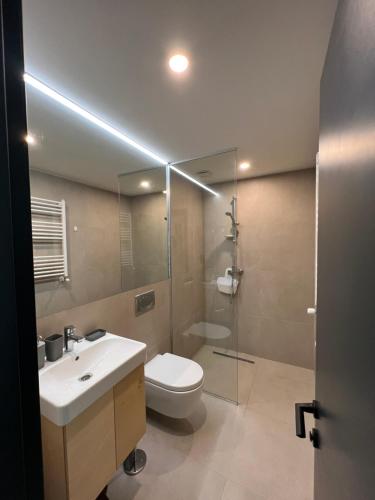 W łazience znajduje się toaleta, umywalka i prysznic. w obiekcie Kokhta - Mitarbi Apartment , Bakuriani w mieście Bakuriani