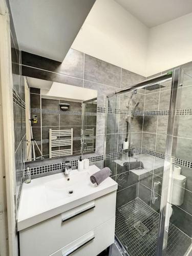 une salle de bain avec une douche, un lavabo et un miroir dans l'établissement Très Agréable T2 - Lumineux-Toit Terrasse-Centre, à Marseille