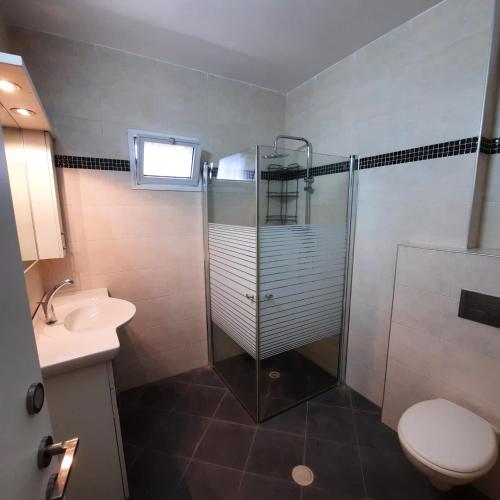 a bathroom with a shower and a toilet and a sink at yael house in Ashkelon
