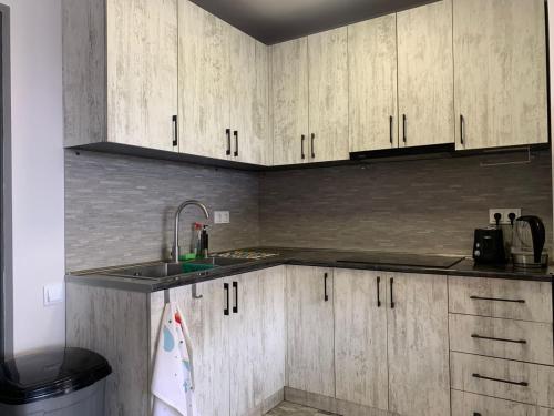 Kuchyň nebo kuchyňský kout v ubytování Pyunic Hotel