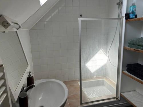 uma casa de banho com um chuveiro e um lavatório branco em T1 en duplex em La Riche