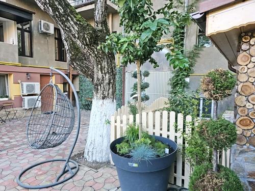una cerca blanca y un árbol y algunas plantas en Diamond Rezidente III en Timisoara