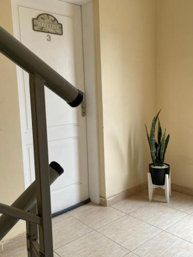 Pueblo Nuevo 2 – Photos 4