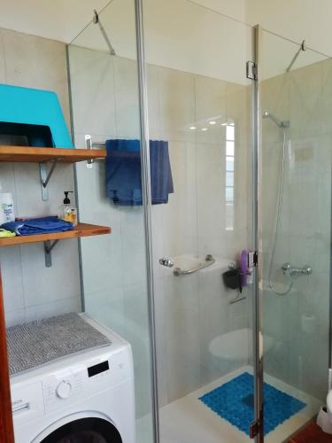 a shower and a washing machine in a bathroom at Finca Las Tapias, Casa Mañé in Puerto de la Cruz